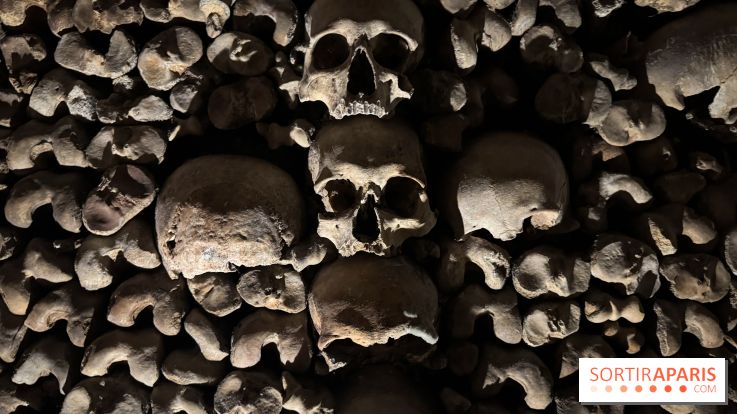 Les Catacombes de Paris 2026 - IMG 3686