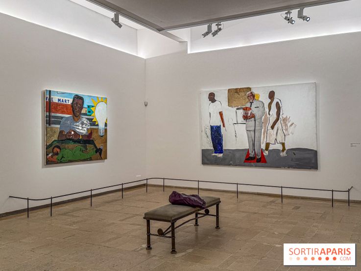 Exposition Henry Taylor au Musée Picasso - IMG 6149