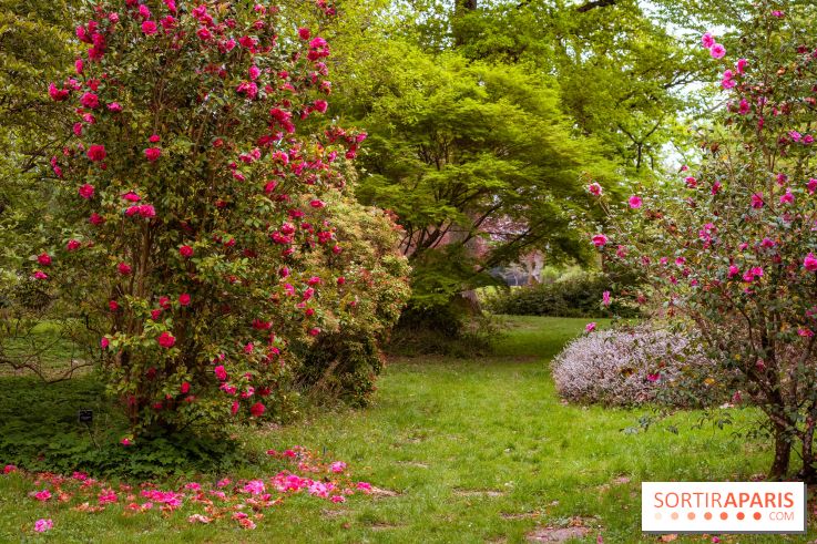 Château de Courson et son domaine : Parc Botanique et Jardin Remarquable en Région Parisienne  - A7C02940 HDR