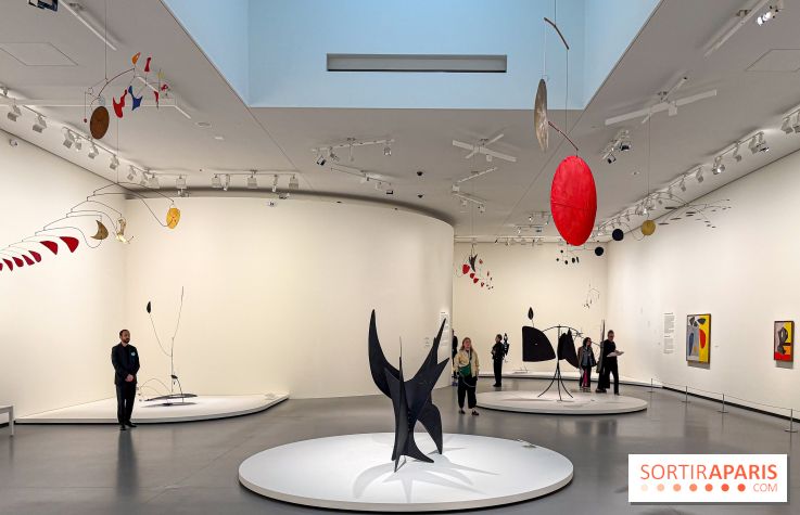 Calder. Rêver en Équilibre : l'exposition retrospective du  - IMG 3155