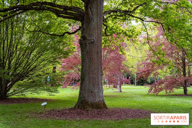 Le Château de Buc et son superbe domaine, parc paysagé aux nombreux trésors - A7C03176
