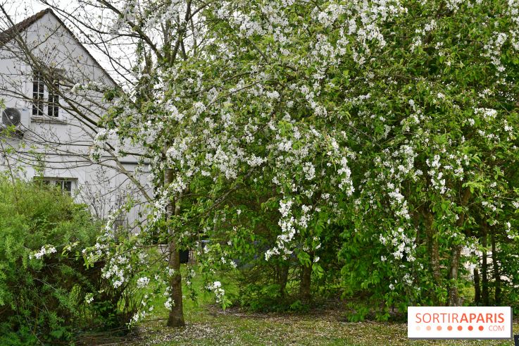 Le domaine de Bellevue, une belle escapade romantique en Seine-et-Marne - DSC 6526