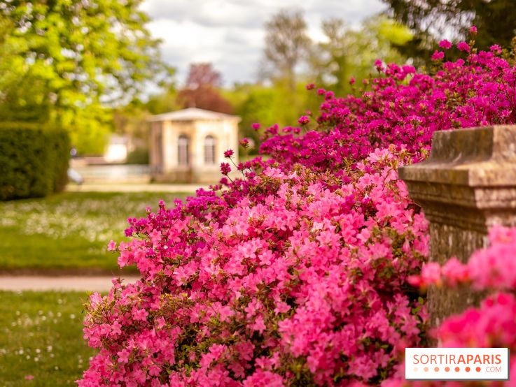 Parc et Jardins du Château de Fontainebleau - les photos