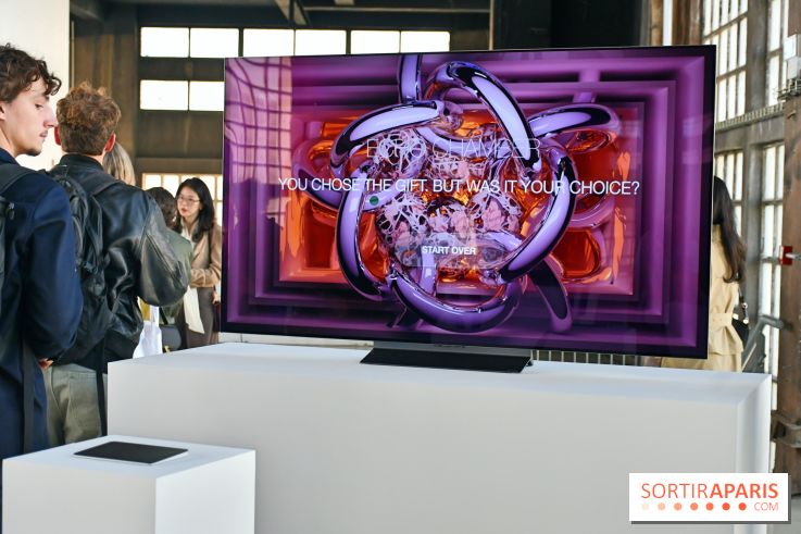 Illumination : l'art numérique coréen s'expose gratuitement aux portes de Paris - DSC 6694