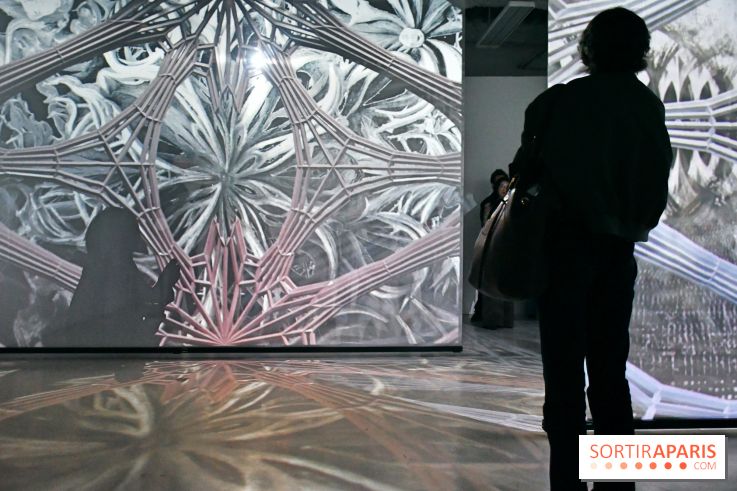 Illumination : l'art numérique coréen s'expose gratuitement aux portes de Paris - DSC 6697
