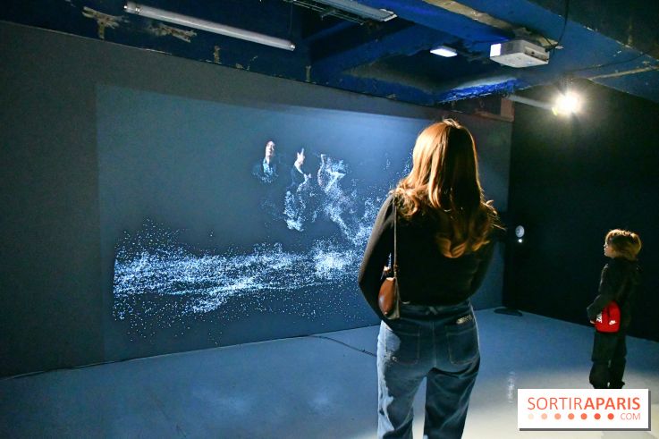 Illumination : l'art numérique coréen s'expose gratuitement aux portes de Paris - DSC 6729