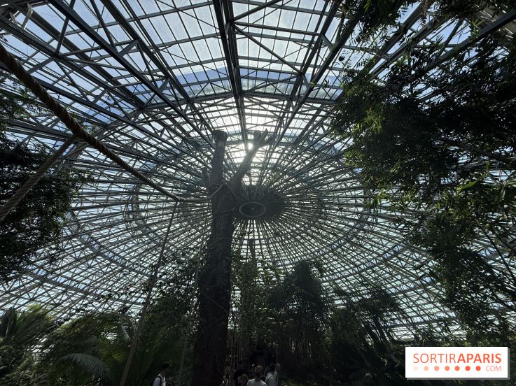 ZooParc de Beauval et Hôtel Les Pagodes de Beauval - IMG 5633