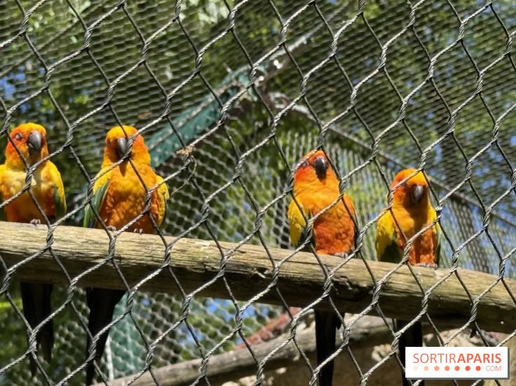 ZooParc de Beauval et Hôtel Les Pagodes de Beauval - IMG 5670