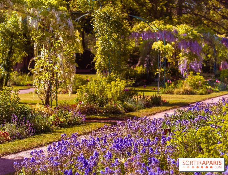 Le Parc des Ibis au Vésinet dans les Yvelines en Région Parisienne - photos  - A7200696