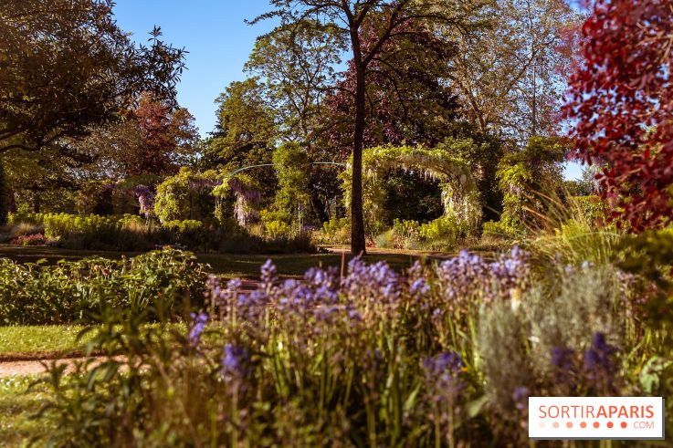 Le Parc des Ibis au Vésinet dans les Yvelines en Région Parisienne - photos