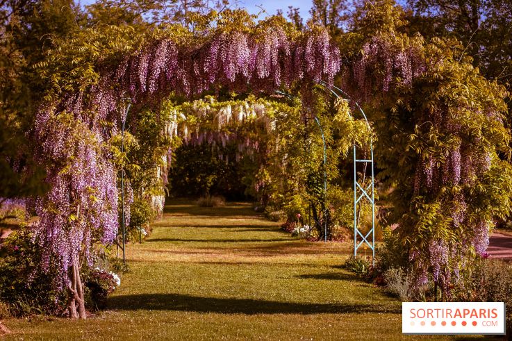 Le Parc des Ibis au Vésinet dans les Yvelines en Région Parisienne - photos  - A7200561