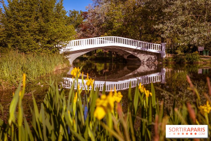 Le Parc des Ibis au Vésinet dans les Yvelines en Région Parisienne - photos  - A7200413