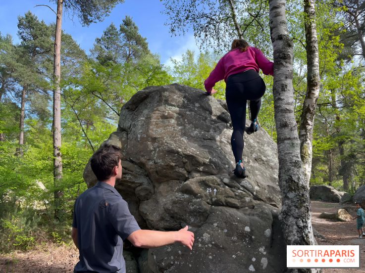 Escalade en Forêt de Fontainebleau - nos photos