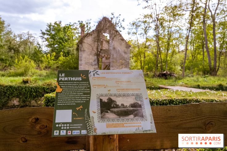 La terrasse du Moulin de Nemours, la guinguette estivale en bord de Loing 77 - A7C04924