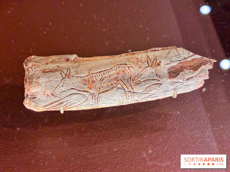 Préhistoire, entre utopie et réalité  - IMG 5569