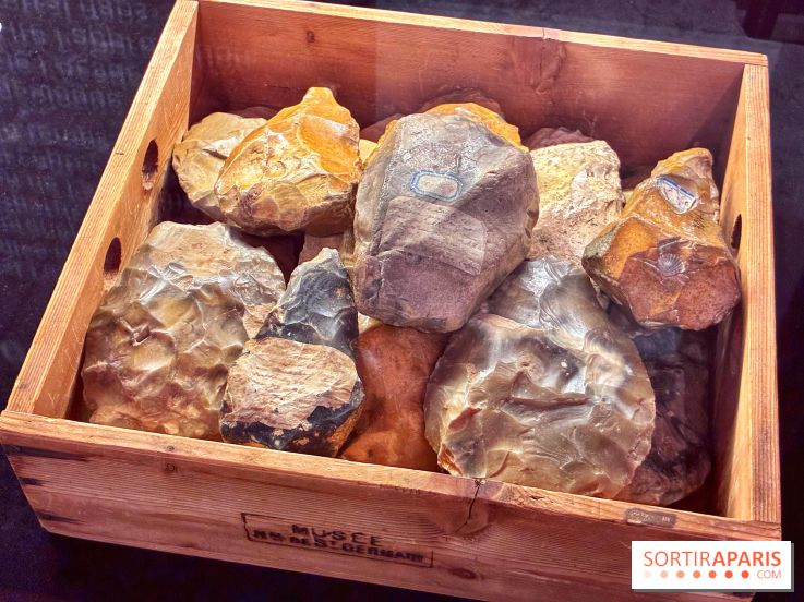 Préhistoire, entre utopie et réalité  - IMG 5589