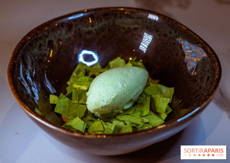 L'Orée des Sablons, restaurant à Fontainebleau - photos - dessert oseille cacahuète