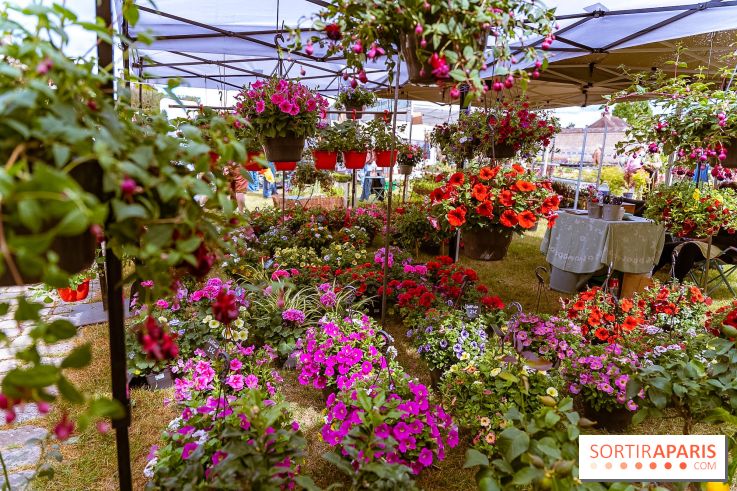 Eden, la Fête des Plantes du Château de la Roche Guyon - photos