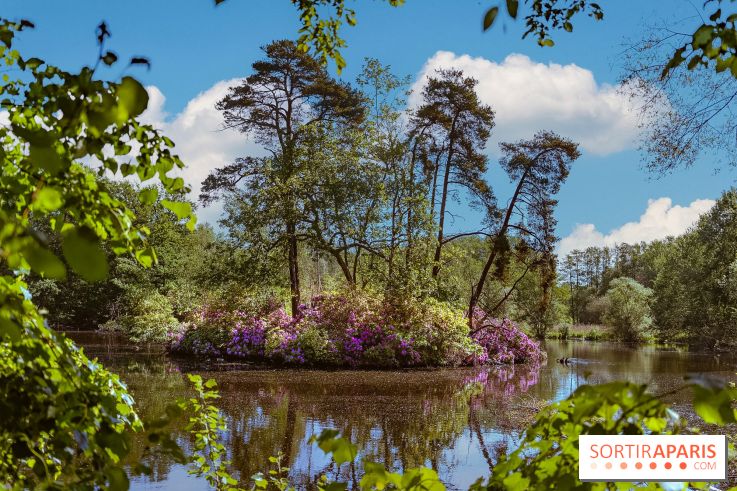La réserve Naturelle des Etangs de Bonnelles, son pont kiosque, temple de l'amour et ses trésors