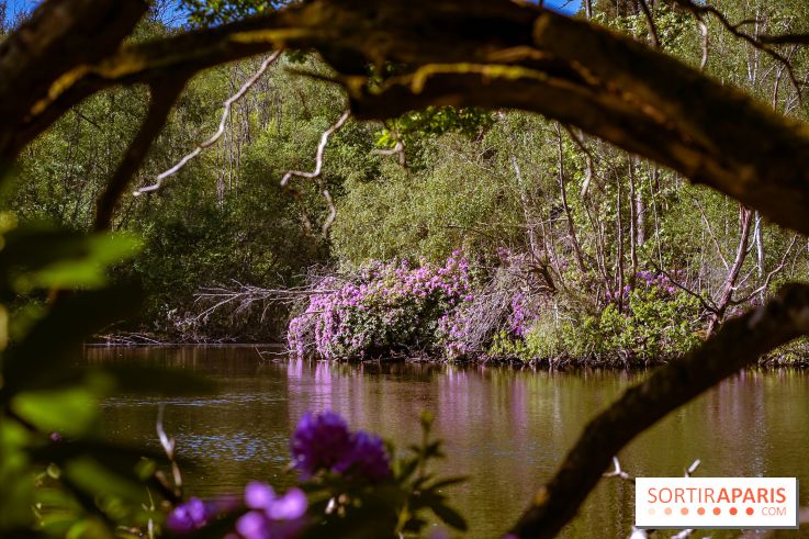 La réserve Naturelle des Etangs de Bonnelles, son pont kiosque, temple de l'amour et ses trésors