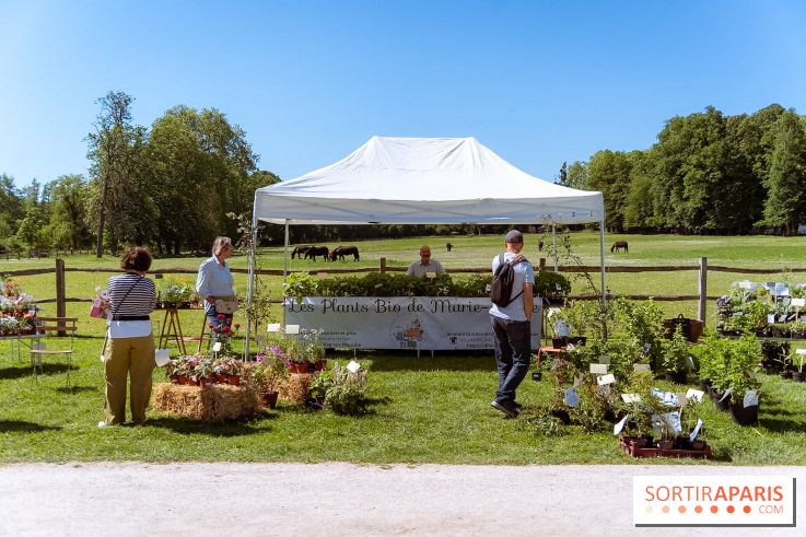 Fête des Plantes au Château de Dampierre dans les Yvelines - photos