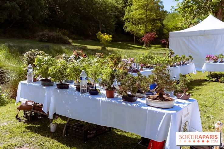 Fête des Plantes au Château de Dampierre dans les Yvelines - photos