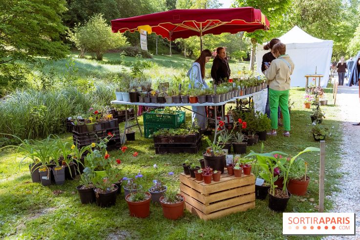 Fête des Plantes au Château de Dampierre dans les Yvelines - photos