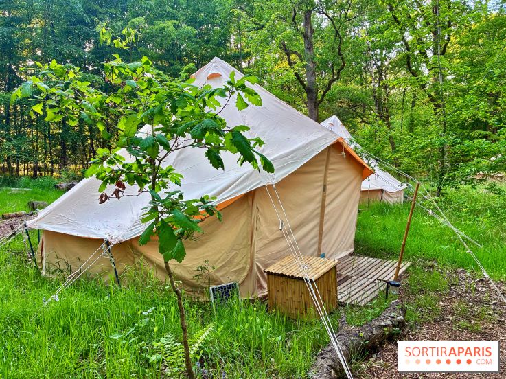 Bivouac avec les loups