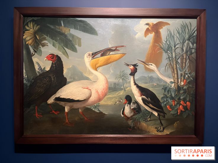 Plumes de Paradis, l'expo au musée du Quai Branly - nos photos