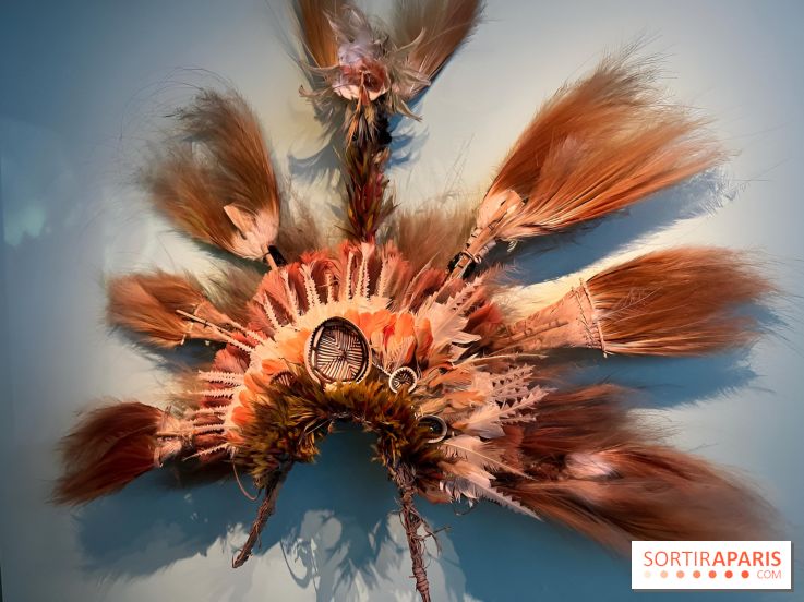 Plumes de Paradis, l'expo au musée du Quai Branly - nos photos