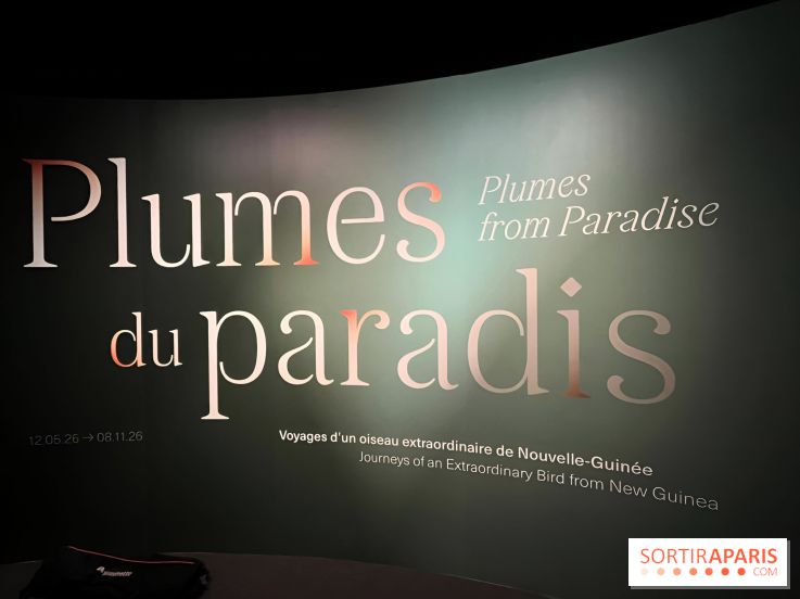 Plumes de Paradis, l'expo au musée du Quai Branly - nos photos