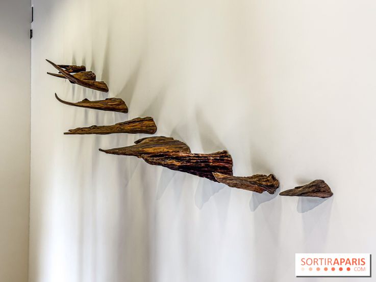 Lélia Demoisy au Domaine de Chamarande : une exposition autour des récits de forêts
