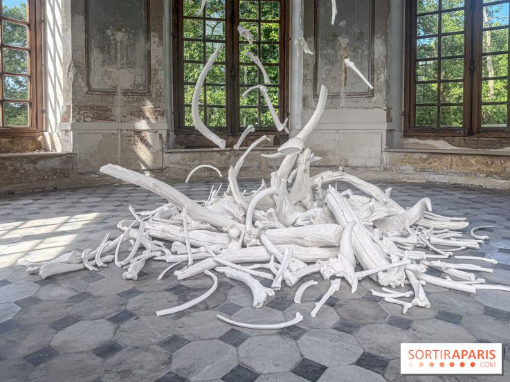 Lélia Demoisy au Domaine de Chamarande : une exposition autour des récits de forêts