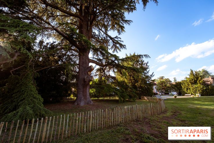 Le Parc et château de Lardy en Essonne - photos