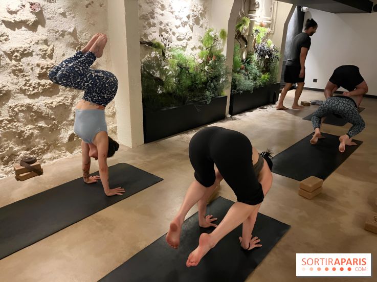 Naya Studio, lieu de bien-être et restaurant vegan - nos photos