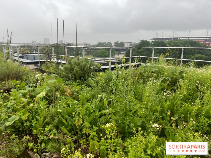 L'aromathèque Persépolis, sur le toit de la bourse du travail à Saint-Denis - nos photos