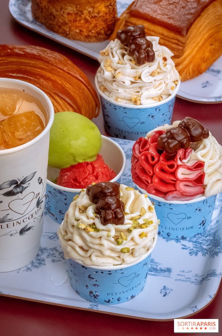 Le comptoir à glaces de Pleincœur et ses coupes glacées - photos