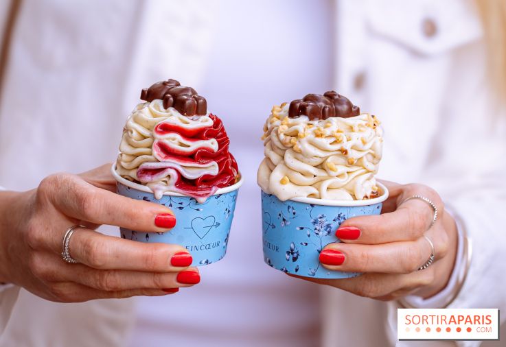 Le comptoir à glaces de Pleincœur et ses coupes glacées - photos