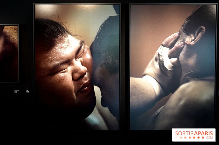 Sumo, forces sacrées : nos photos de l'exposition