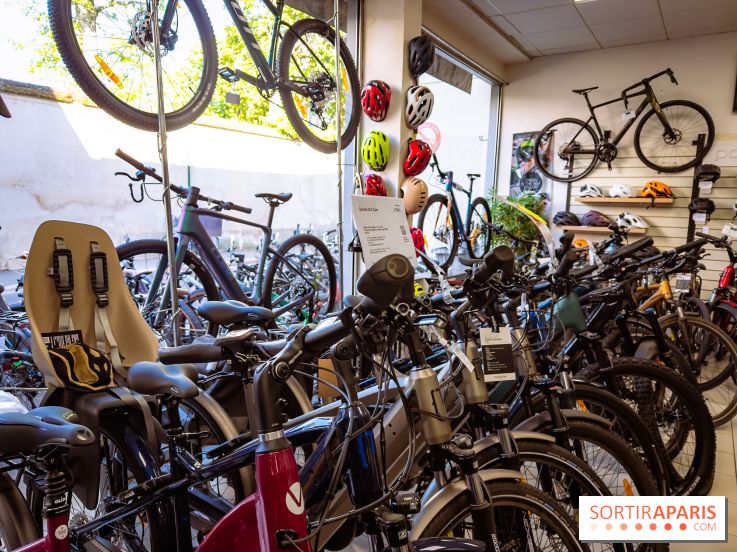 Liaisons douces à Fontainebleau : la forêt à vélo, les photos