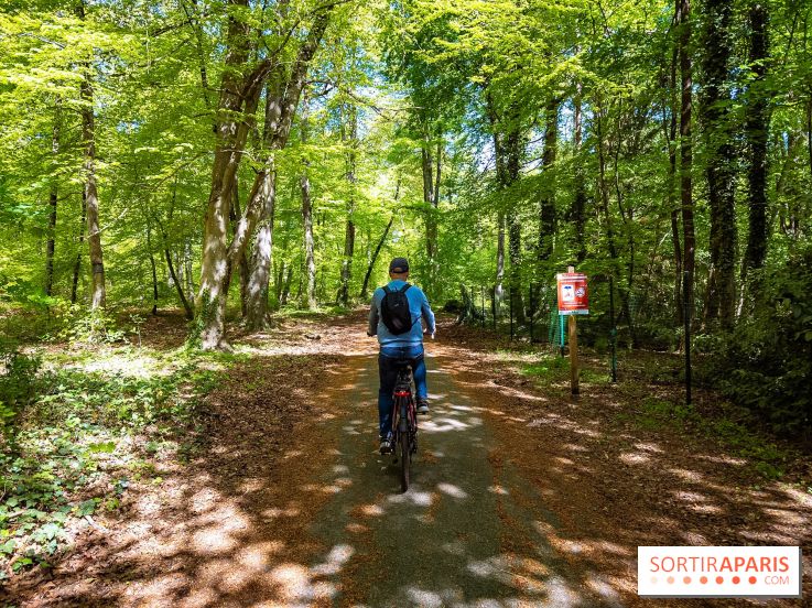 Liaisons douces à Fontainebleau : la forêt à vélo, les photos