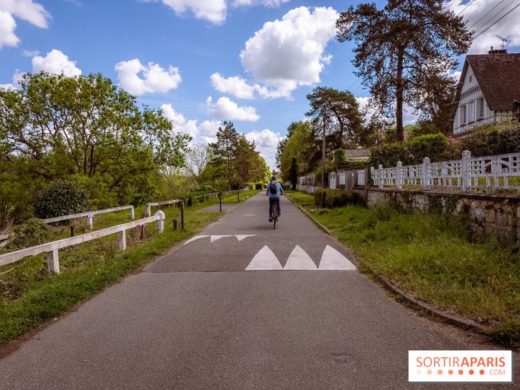 Liaisons douces à Fontainebleau : la forêt à vélo, les photos