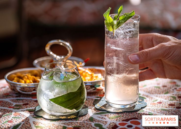 Le Rooftop du Fouquet's, bar à cocktail et cuisine fusion japonaise - photos