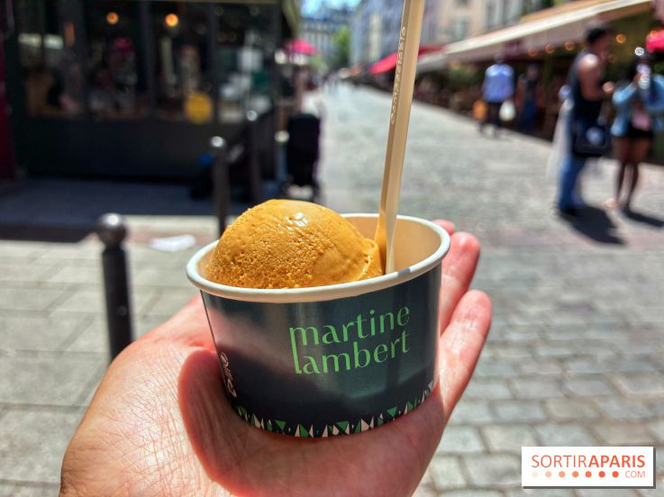 Glaces Martine Lambert