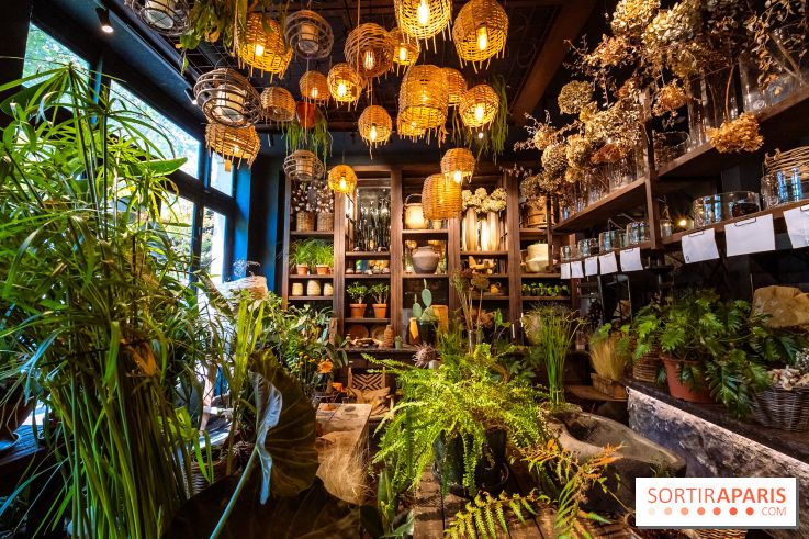 Mégie, la cantine botanique, boutique et atelier floral - photos