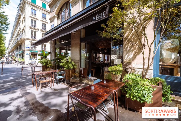 Mégie, la cantine botanique, boutique et atelier floral - photos