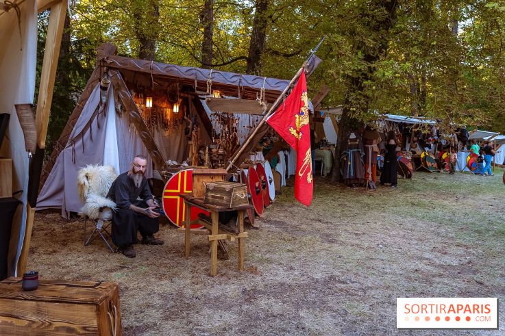 Gargenville : la Fête Médiévale viking au château de Rangiport 2026, les photos
