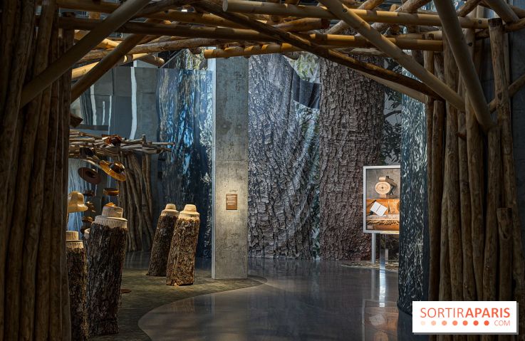 Maison Michel 19M, l'exposition mode gratuite dédiée aux chapeaux à la Galerie du 19M
