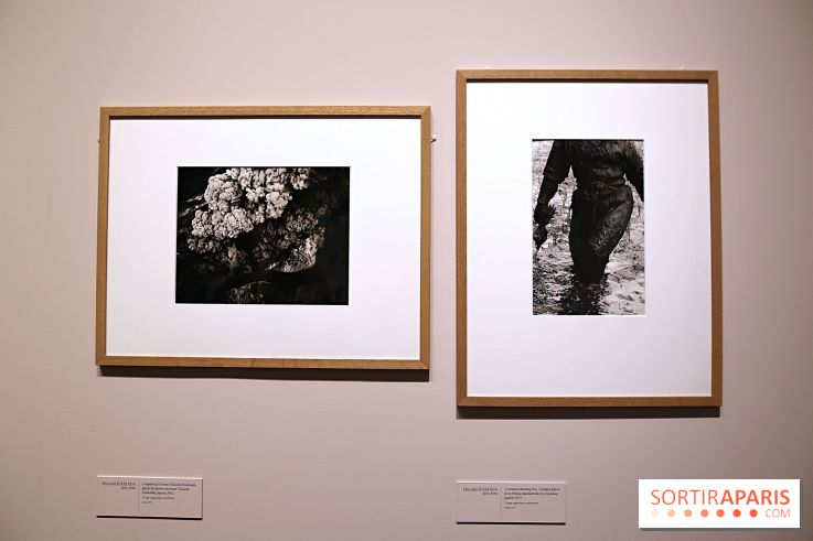 Photographies japonaises de la BnF - nos photos de l'exposition