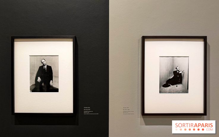 Irving Penn